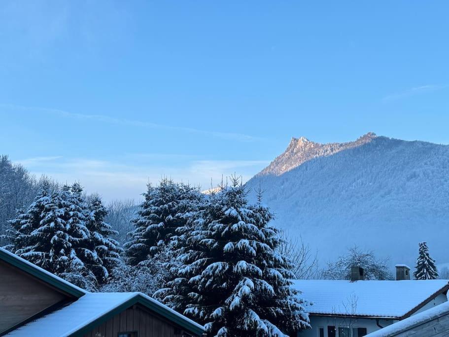 Bergblick Apartment