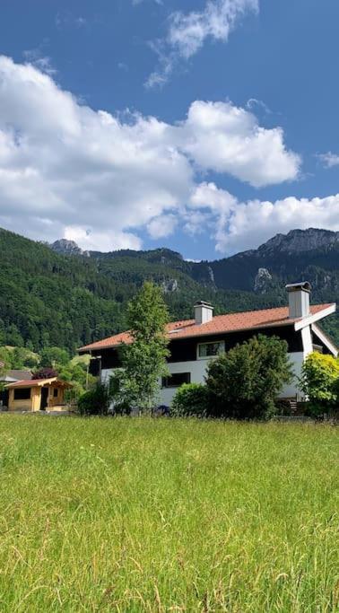 Bergblick Apartment *
