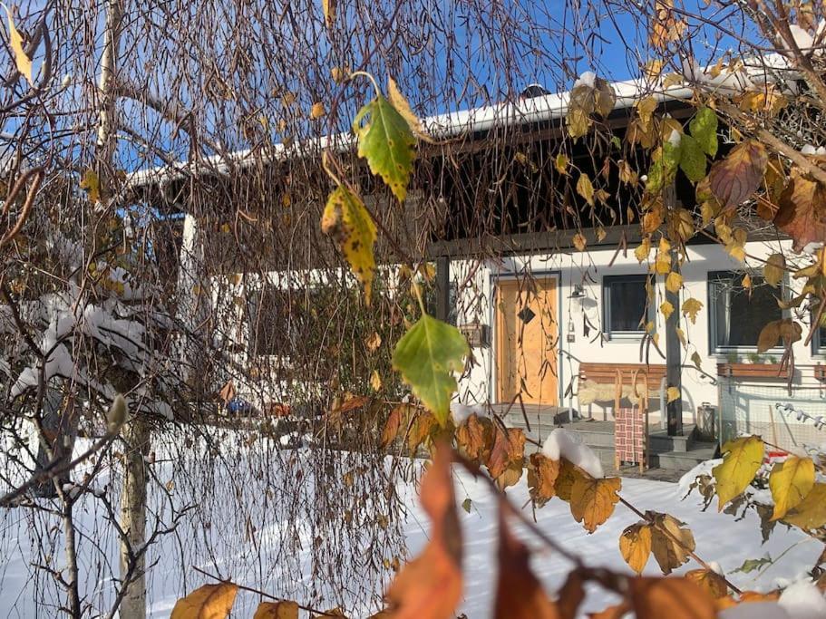 Apartment Bergblick *